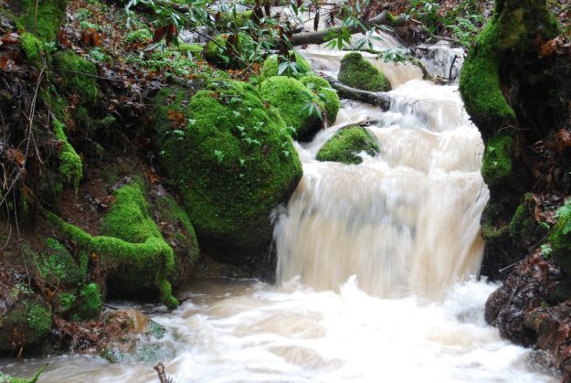 Gorgeous Waterfall