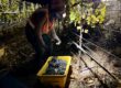 2023 Fall Nighttime Harvest
