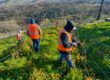 Winter News from the Vineyard